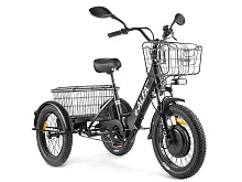Трицикл Green City E-Alfa Trike