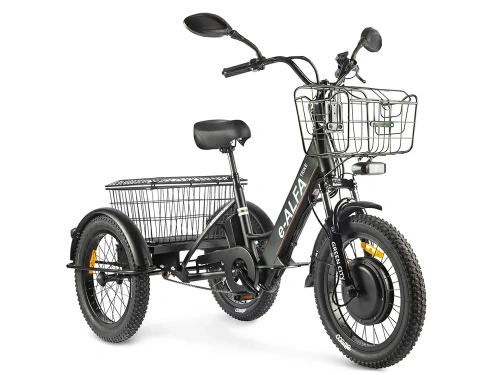 Трицикл Green City E-Alfa Trike