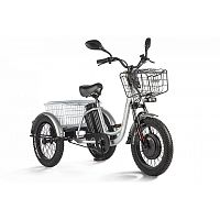 Трицикл Eltreco Porter Fat 500 UP!
